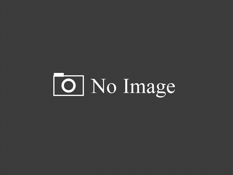 2025年1月発行の月報をアップしました!