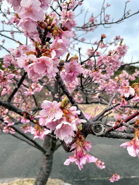 2025年4月6日(日) 日曜礼拝「天に宝を積みなさい」