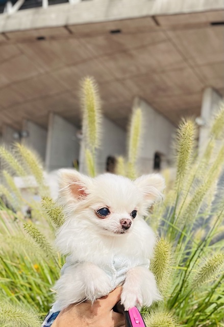 2025年11月16日(日) 日曜礼拝「十二人の使徒たち」