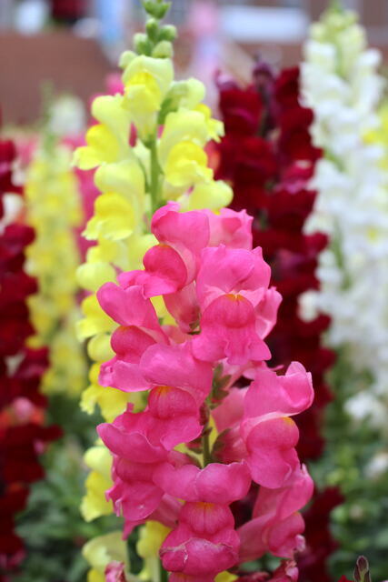 2026年1月18日(日) 日曜礼拝「神の報い」