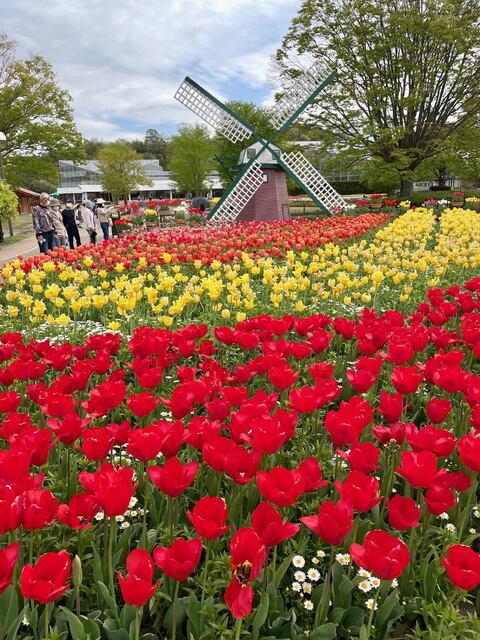 2026年4月19日(日) 日曜礼拝「主イエスの家族」